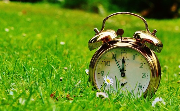 alarm_clock_grass_pixabay