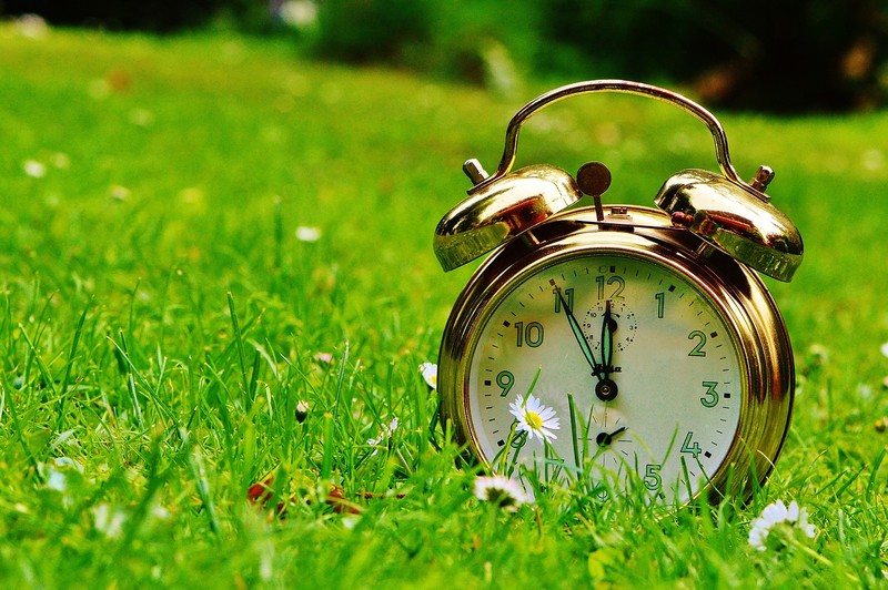 alarm_clock_grass_pixabay